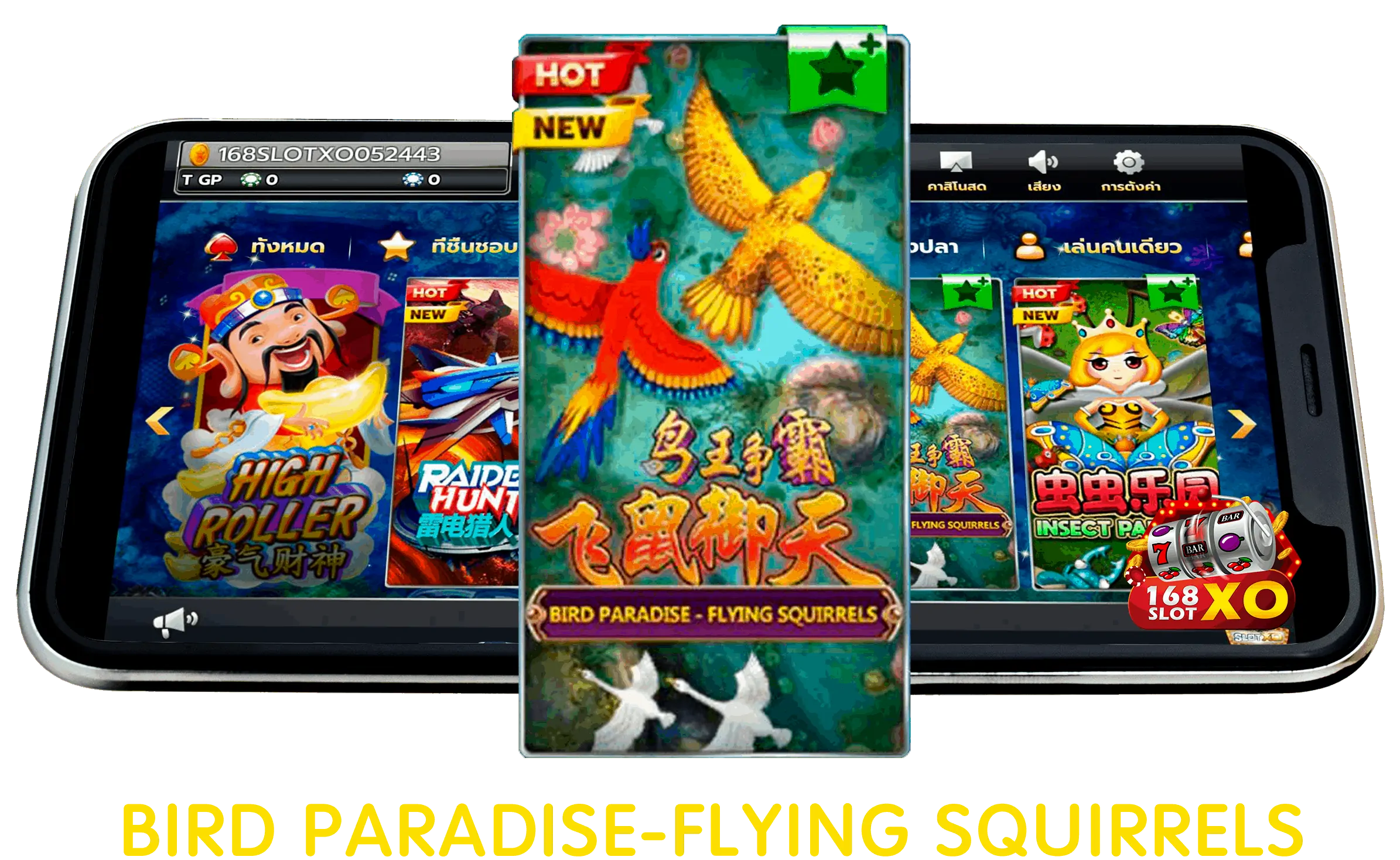 bird-paradise-flying-squirrels